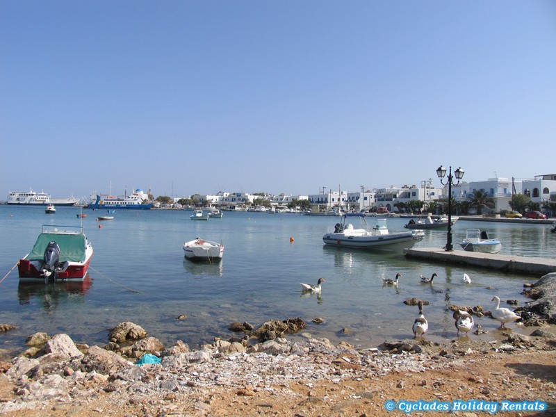 holidays-cyclades.com