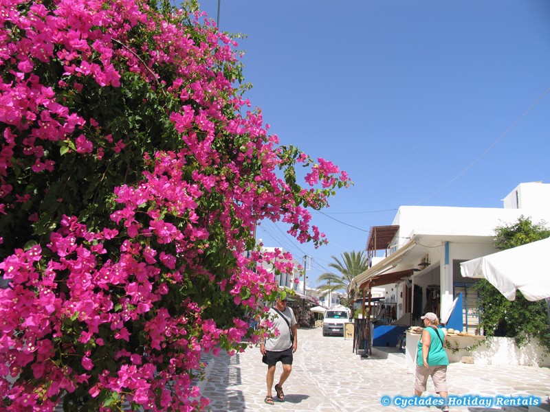 holidays-cyclades.com