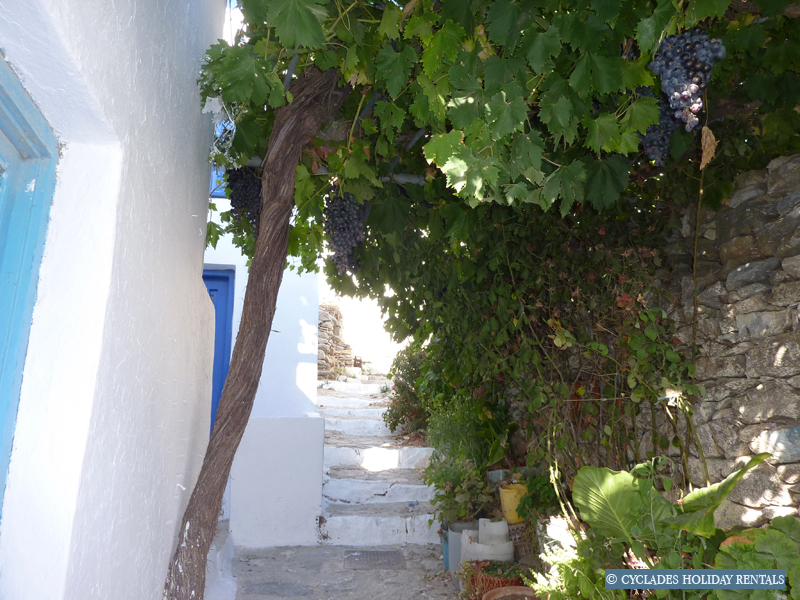 holidays-cyclades.com