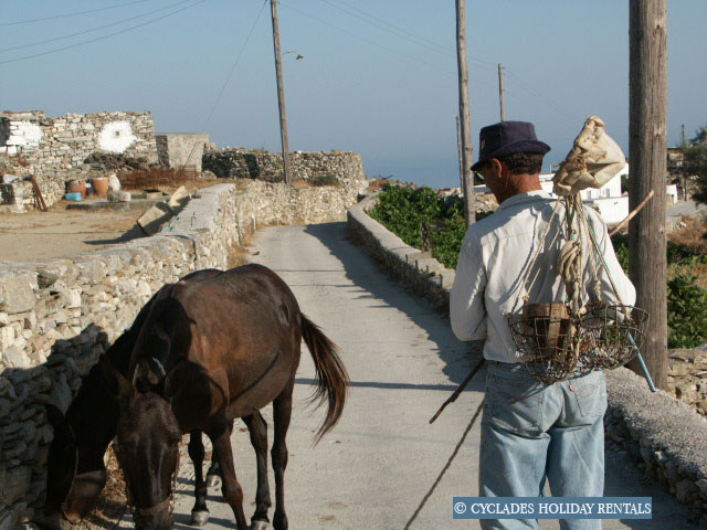 holidays-cyclades.com