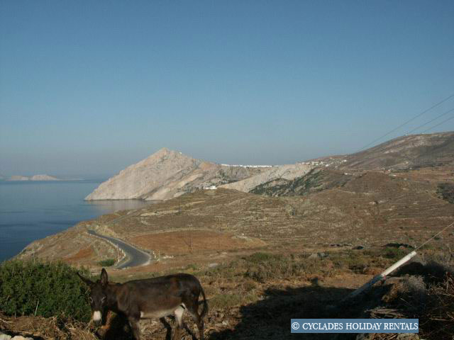 holidays-cyclades.com