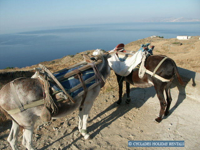 holidays-cyclades.com