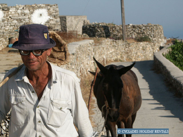 holidays-cyclades.com