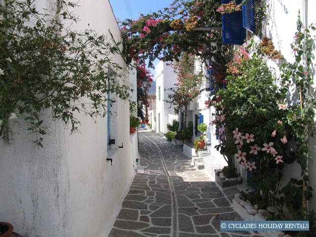 holidays-cyclades.com