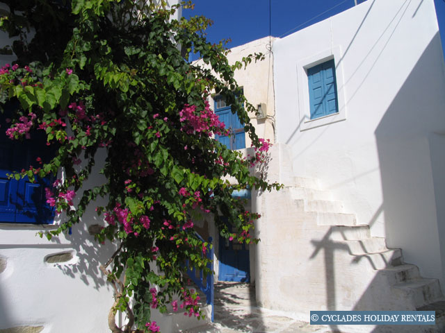 holidays-cyclades.com