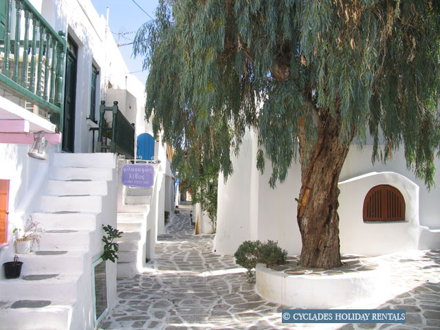 holidays-cyclades.com