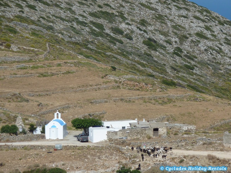 holidays-cyclades.com