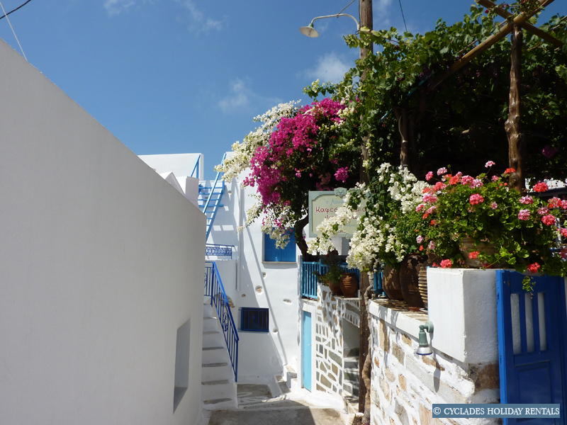 holidays-cyclades.com