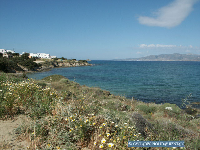 holidays-cyclades.com