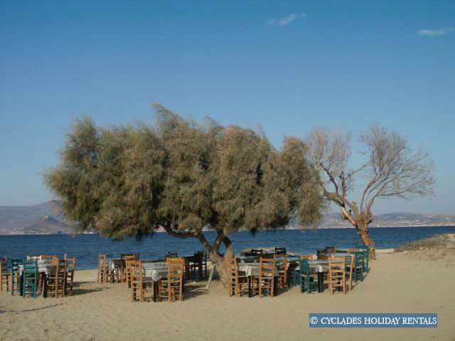 holidays-cyclades.com