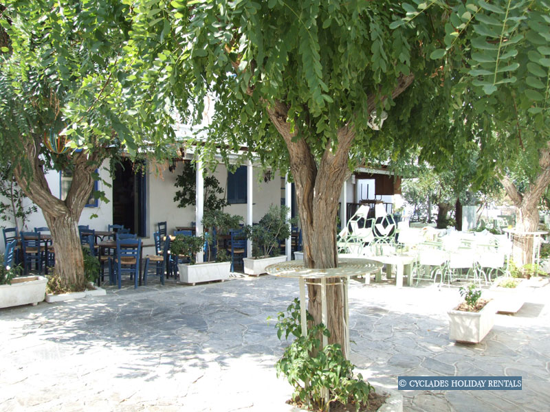 holidays-cyclades.com