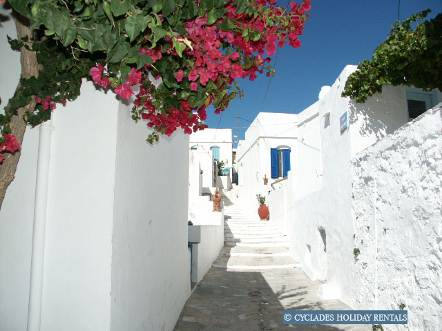 holidays-cyclades.com