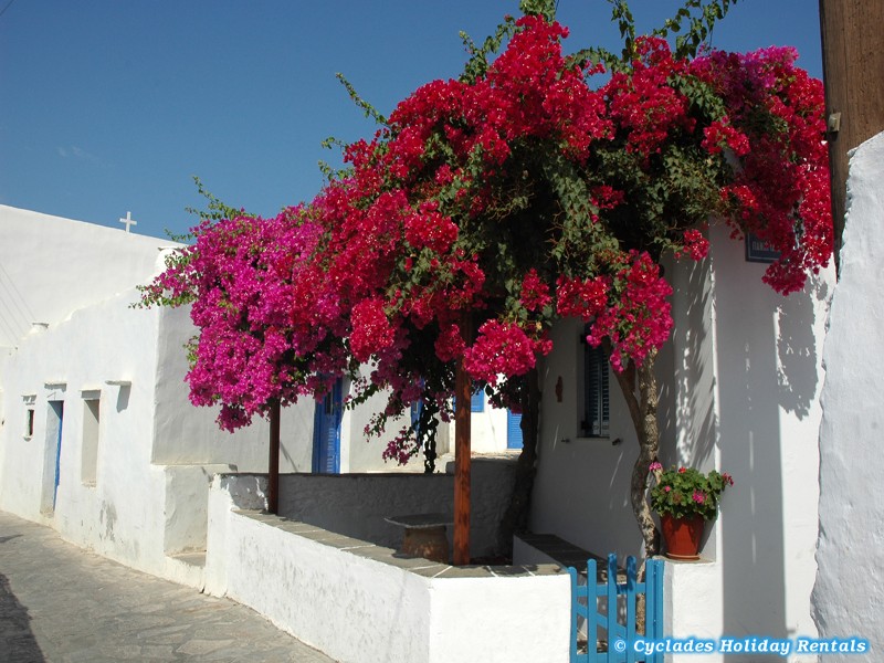 holidays-cyclades.com