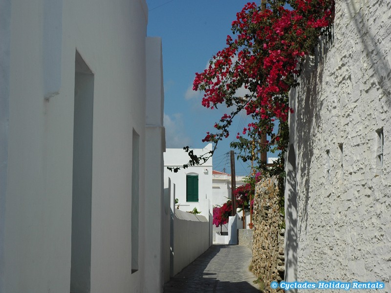 holidays-cyclades.com