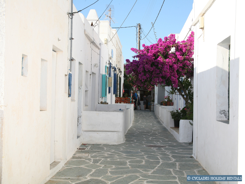 holidays-cyclades.com