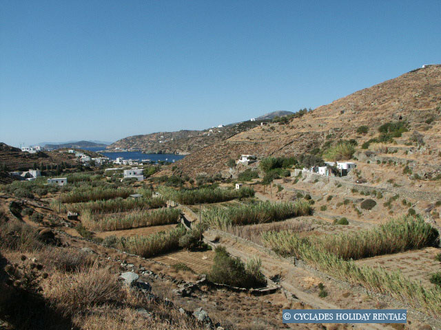 holidays-cyclades.com