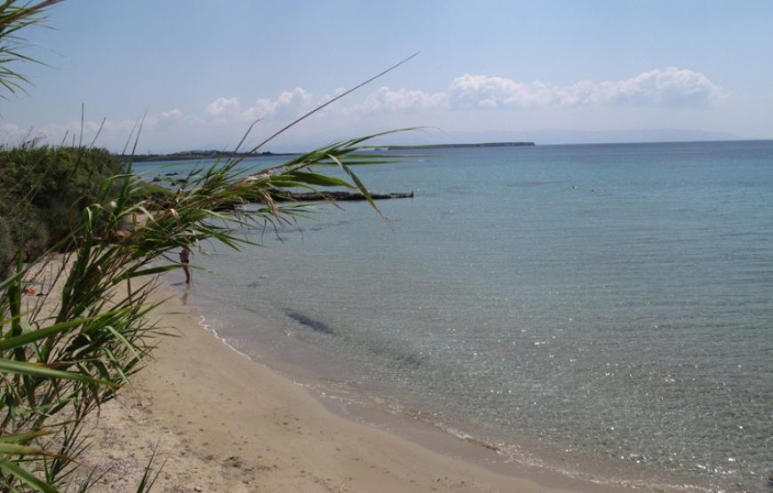 4-person room with breakfast, sea view