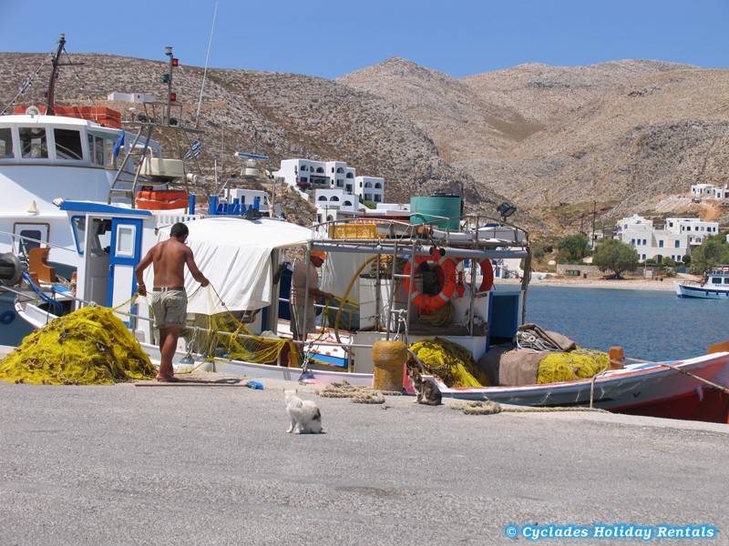 holidays-cyclades.com