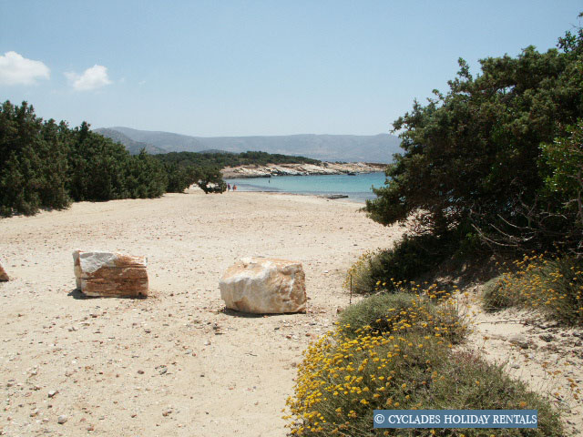 holidays-cyclades.com