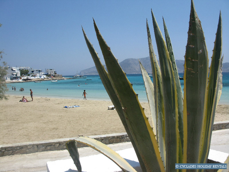 holidays-cyclades.com