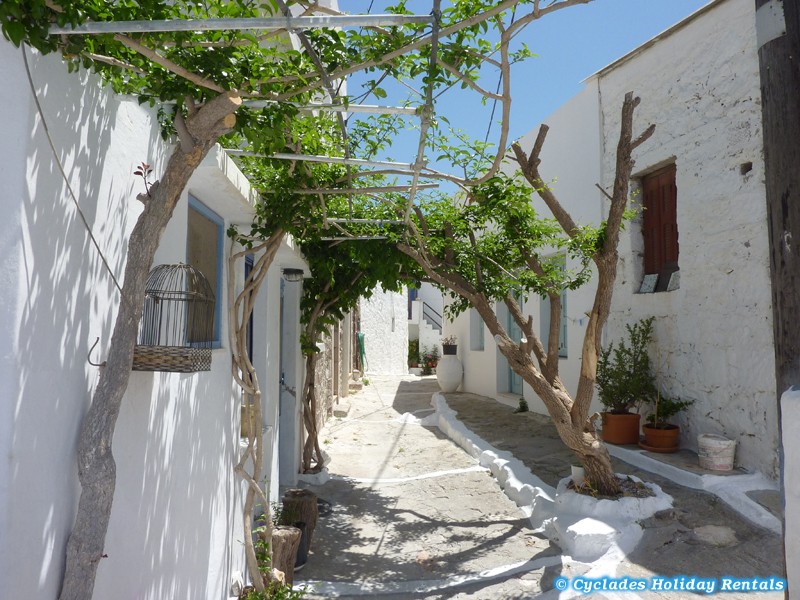 holidays-cyclades.com