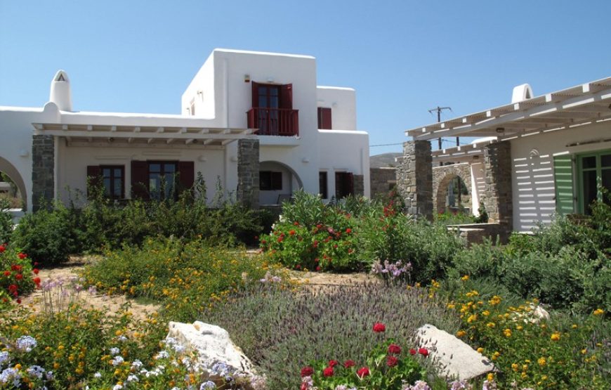 Naoussa Bay – Villa Agia Irini