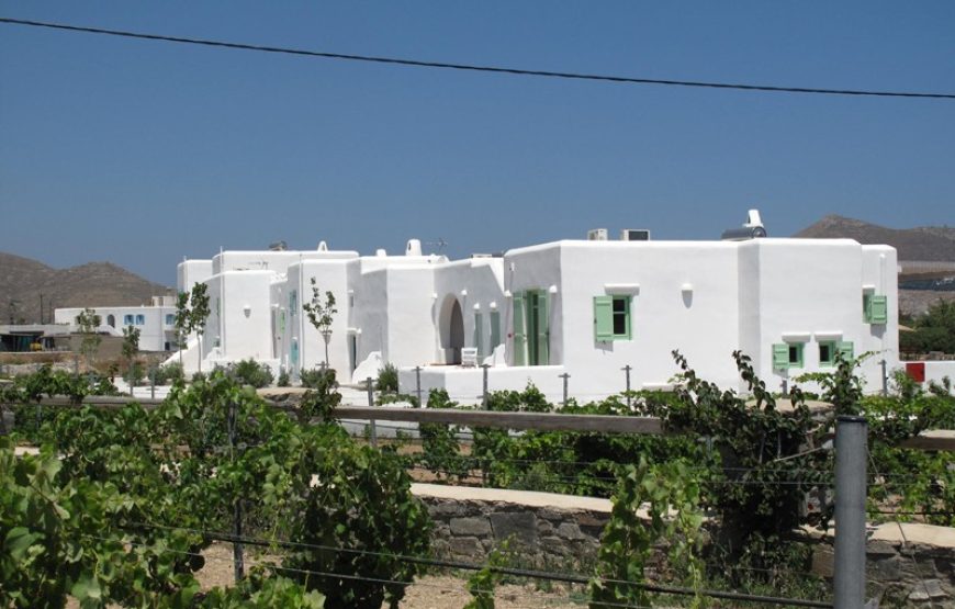 Naoussa Bay – Villa Lefkes