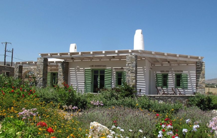 Naoussa Bay – Villa Lefkes