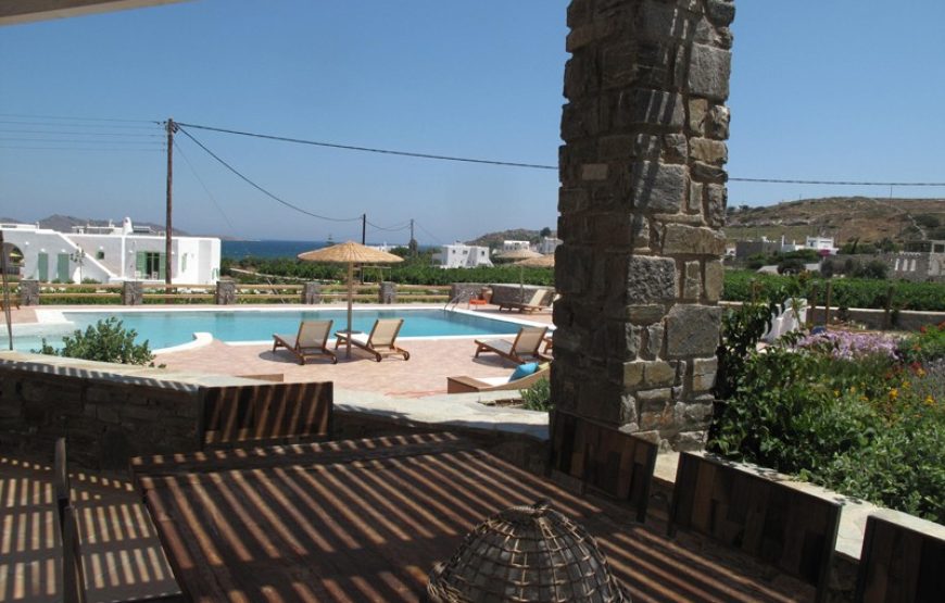 Naoussa Bay – Villa Lefkes