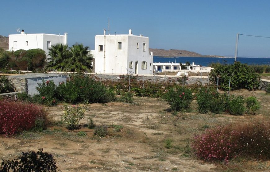 Naoussa Bay – Villa Punda