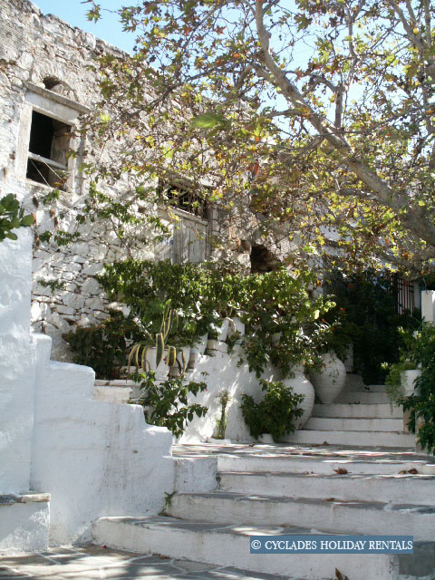 holidays-cyclades.com