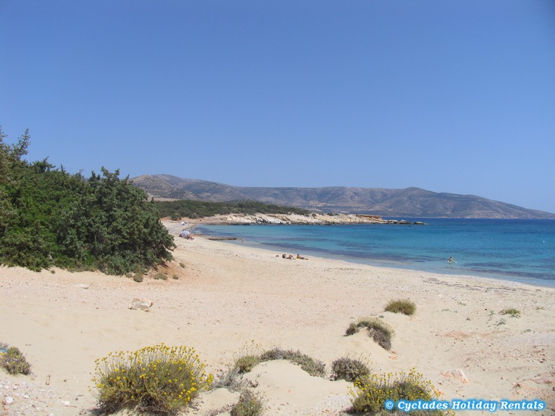 holidays-cyclades.com