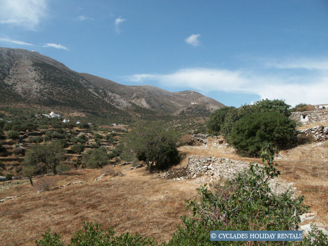 holidays-cyclades.com