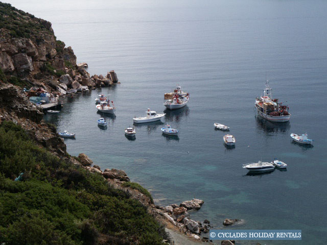 holidays-cyclades.com