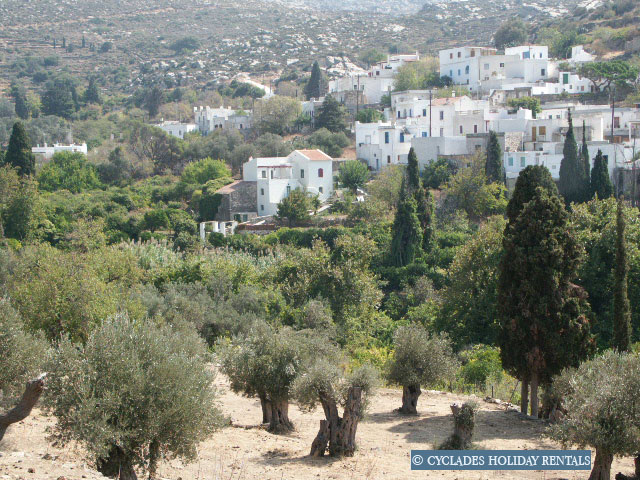 holidays-cyclades.com