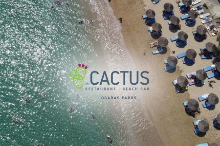 Cactus Beach Paros